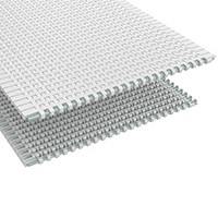 Rexnord 10674129 590 Series KleanTop KleanTop Conveyor Belts