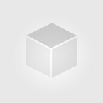 Rexnord 91011501 Planetgear