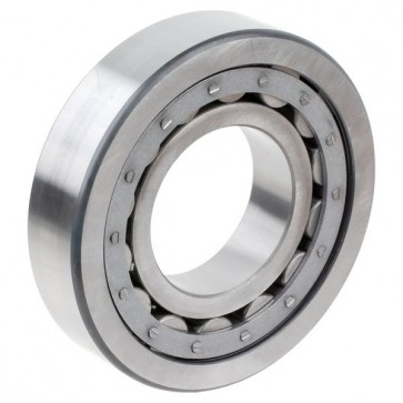 Link-Belt MS1313EX Unmounted Bearings Cylindrical Roller Bearings