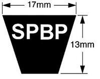 SPB2120P Predator Single Belts