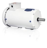 WDM3553TP-9 LV Washdown Duty Motors