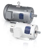 JMSSEWDM3710T LV Washdown Duty Motors