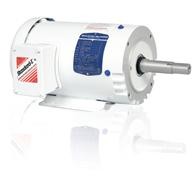 JMWDM3550T LV Washdown Duty Motors