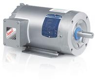 VSSEWDM3550T LV Washdown Duty Motors