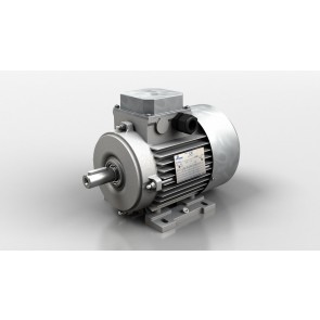 Three-phase and three-phase brake motors TS/TH/TBS/TBH series