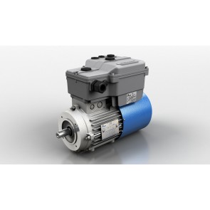 Inverter Motors DV series