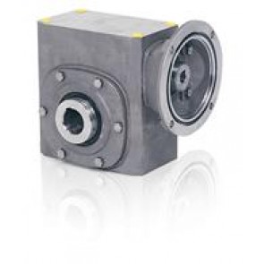 Tigear-2 S.S. Reducer-Low Temp 7B17QS25L56LT