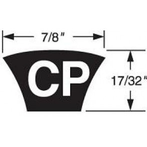CP240 C PREDATOR SINGLE STRAND BELT Predator Single Belts
