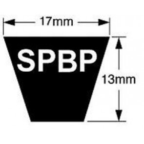 SPB2120P Predator Single Belts