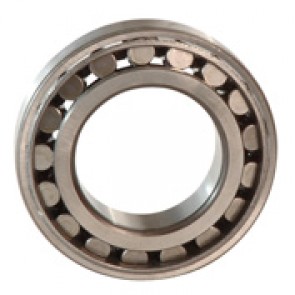 A22100S - A20000S - 20000 Series Single-Row Self-Aligning Spherical Roller Bearing