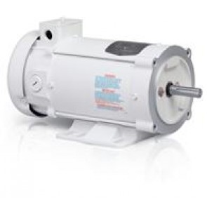 EWDM3558T LV Washdown Duty Motors