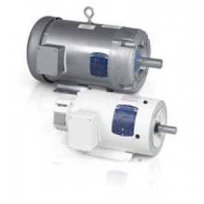 IDVSWDM3615T LV Washdown Duty Motors