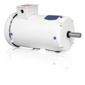 WDM3553TP-9 LV Washdown Duty Motors