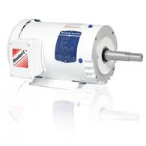 JMWDM3550T LV Washdown Duty Motors