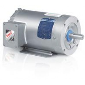 VSSEWDM3550T LV Washdown Duty Motors